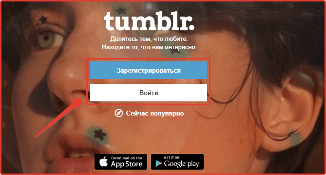 Deleting a tumblr account: step No. 6